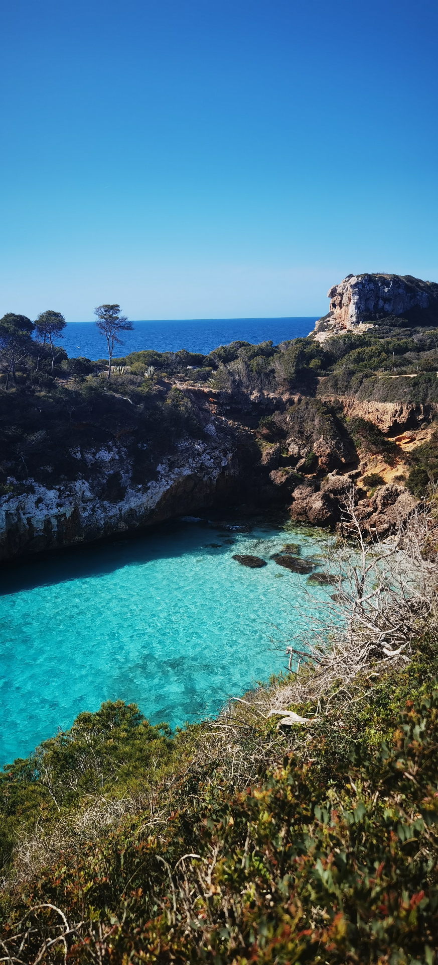 Cala s'Almunia : crique encaissée aux eaux cristallines, vue depuis la falaise